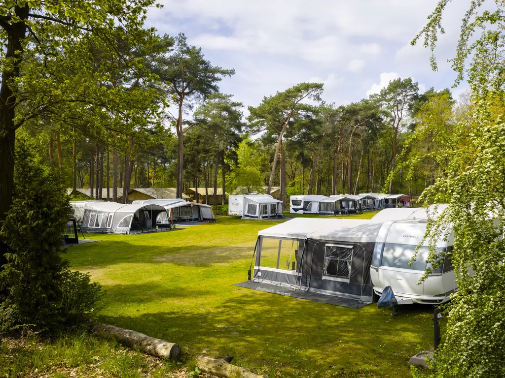 WVN Camping