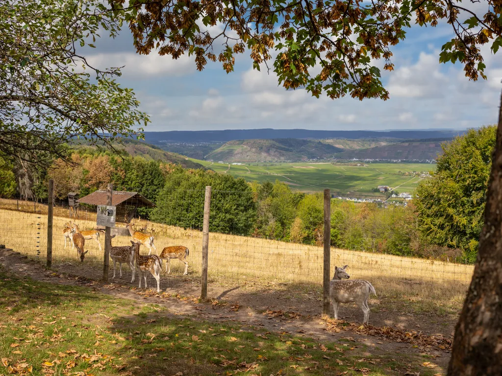 SBG Wildpark