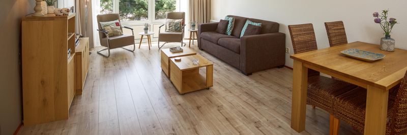 Hof van Saksen Drenthe - Westdorp visuel 831/1861