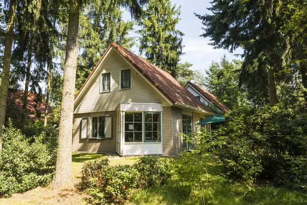 Hof van Saksen Drenthe - Westdorp visuel 1658/1861