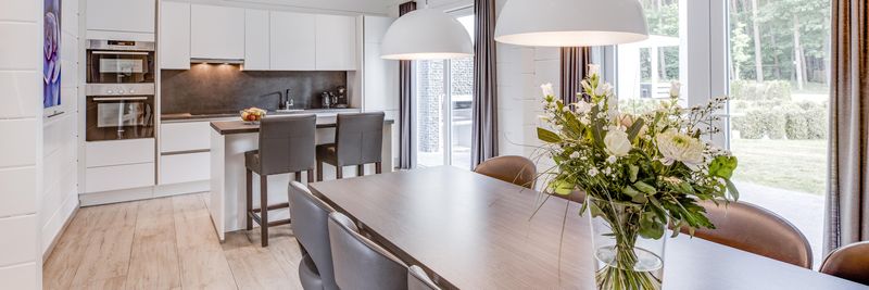 Hof van Saksen Drenthe - Westdorp visuel 817/1861