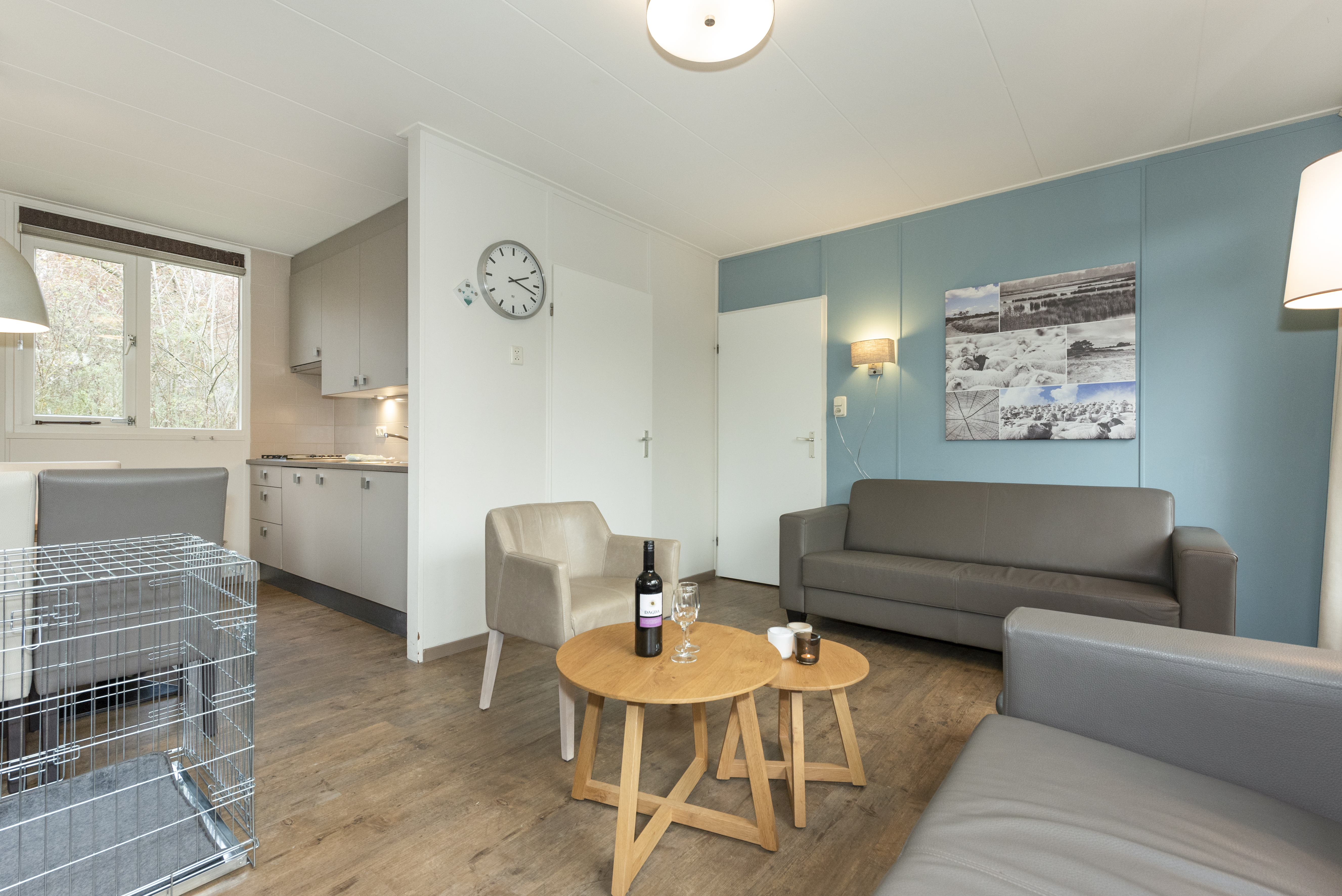 6-persoons hondenbungalow — foto 10