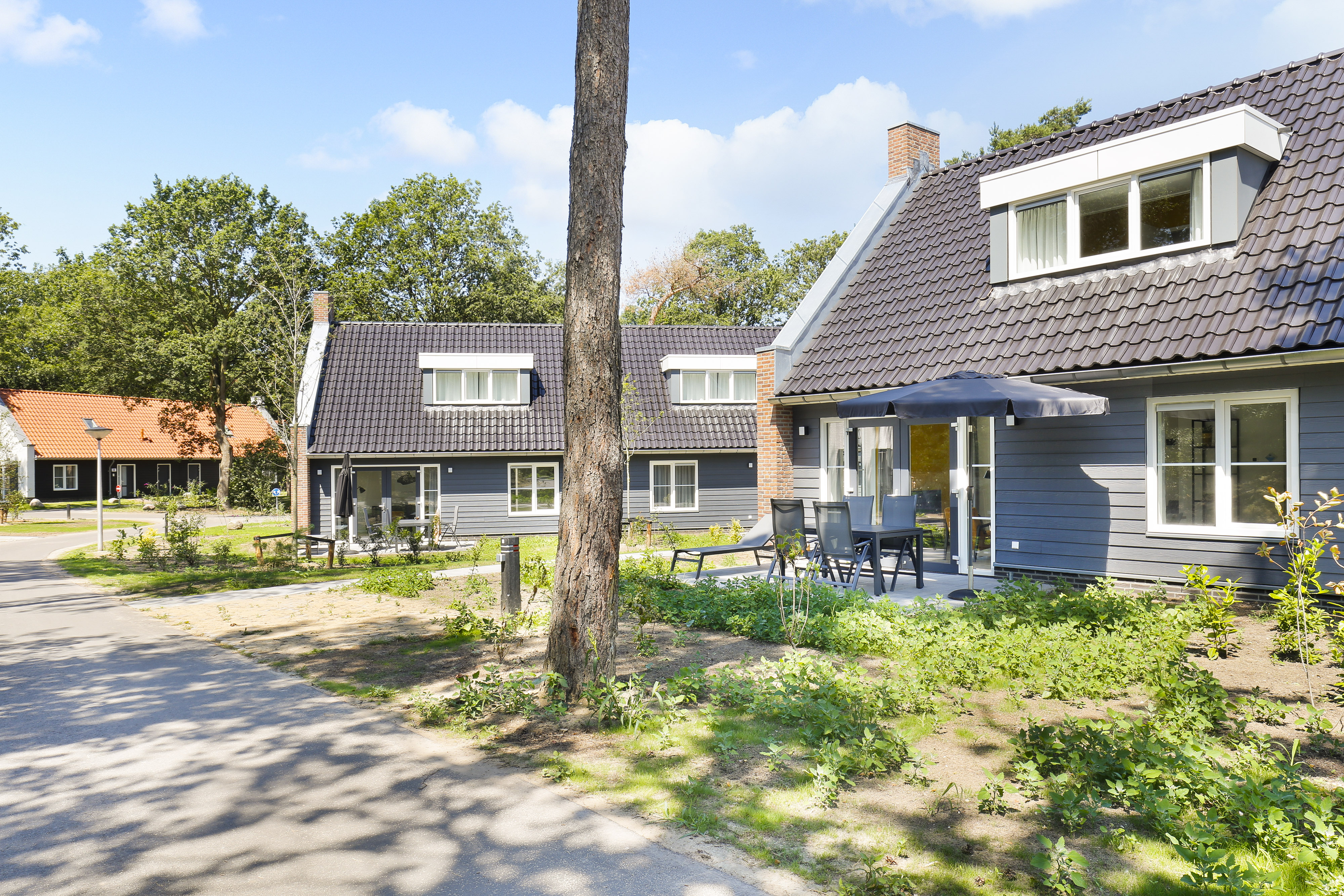 4-persoons bungalow — foto 8