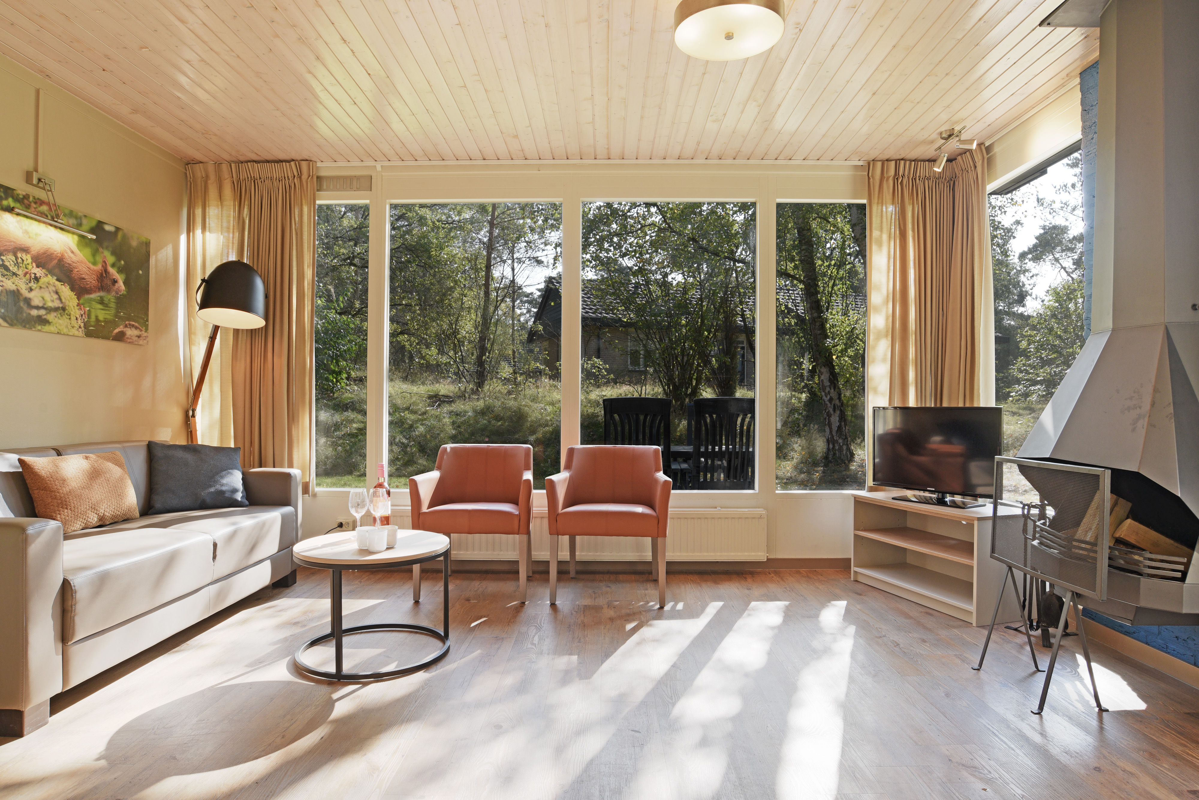 4-persoons bungalow - Extra toegankelijk — foto 8