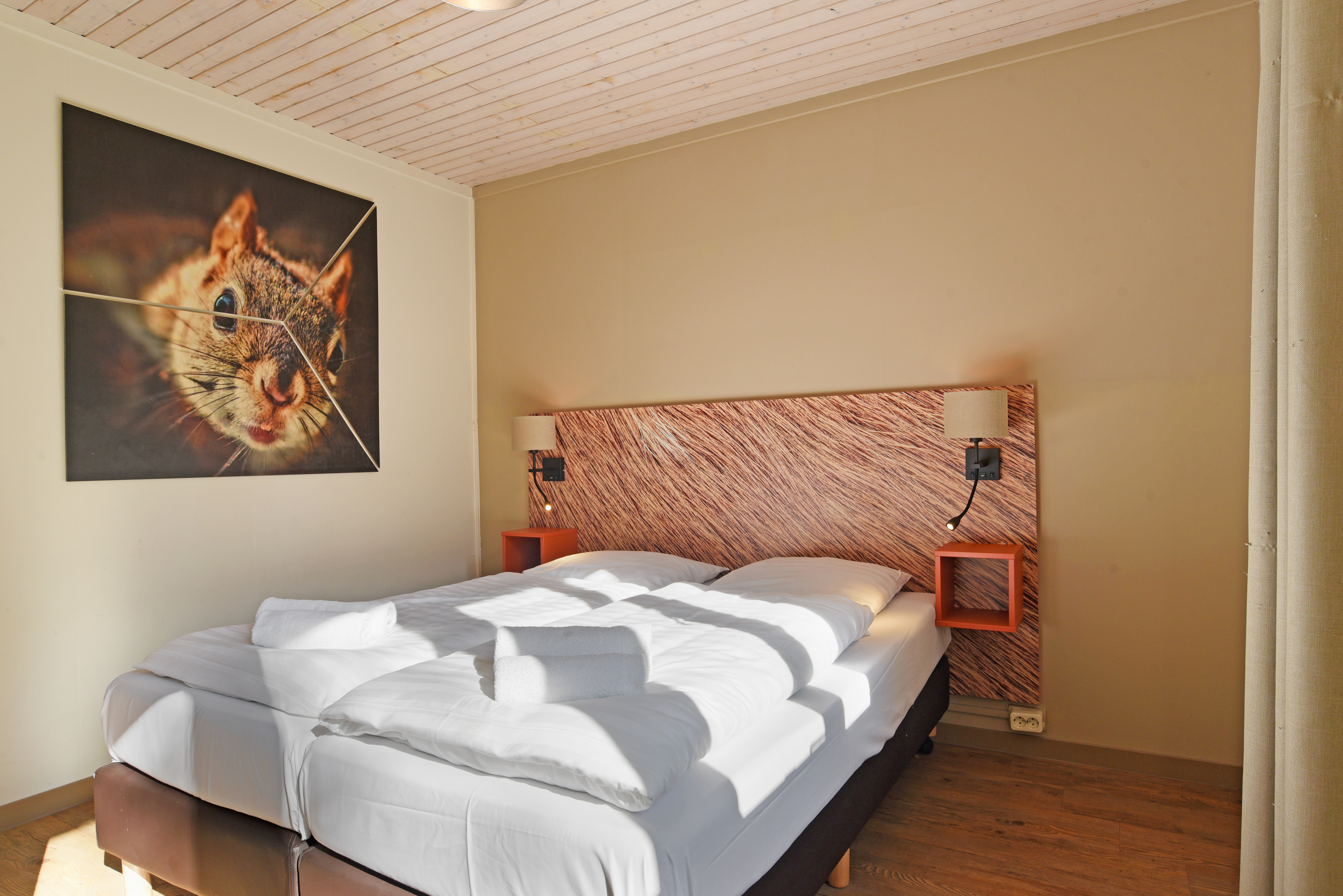 4-persoons bungalow - Extra toegankelijk — foto 9
