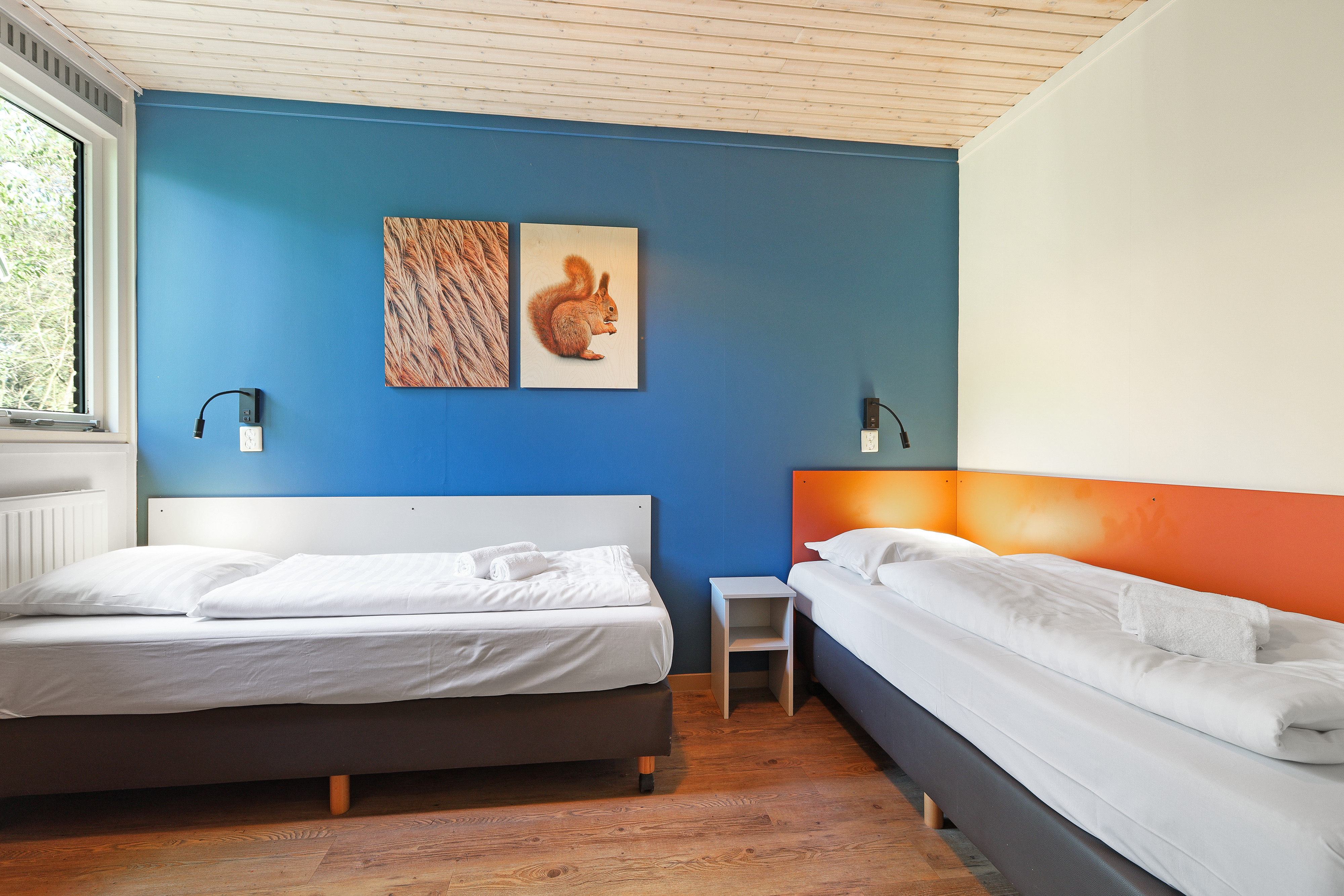 4-persoons bungalow — foto 6