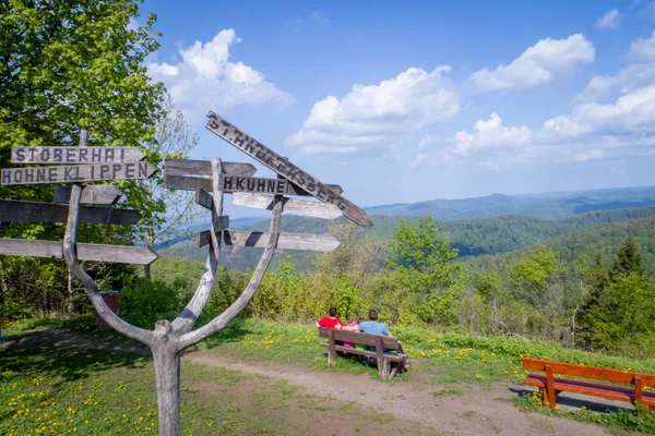 Hof van Saksen Drenthe - Westdorp visuel 669/1861