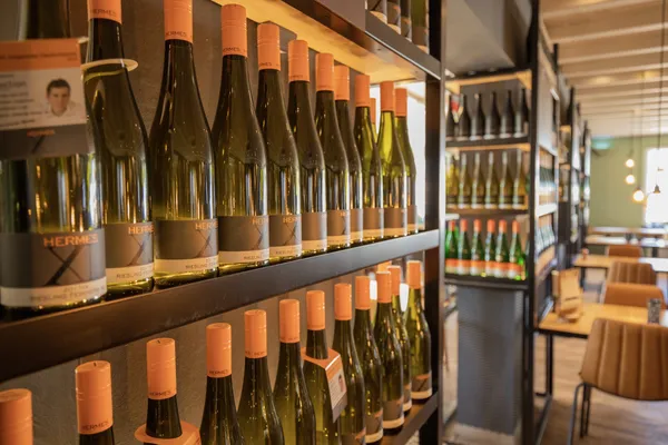 Hof van Saksen Drenthe - Westdorp visuel 641/1861