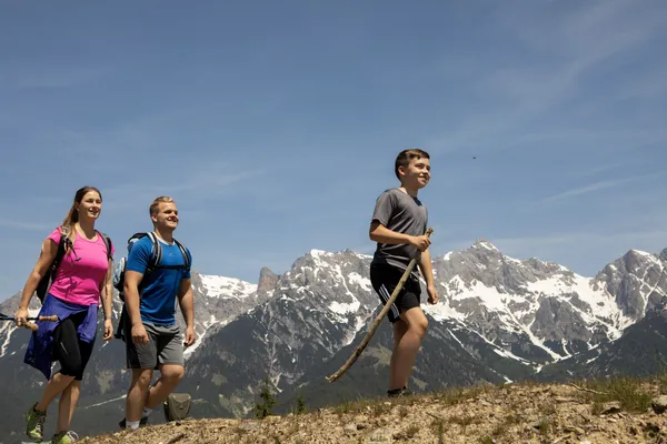 Hof van Saksen Drenthe - Westdorp visuel 414/1861