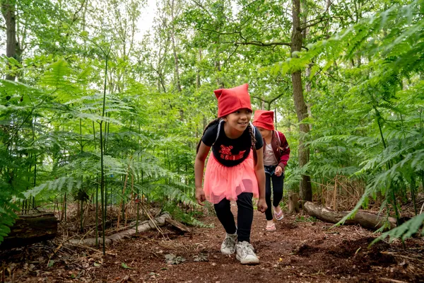 Hof van Saksen Drenthe - Westdorp visuel 1009/1861