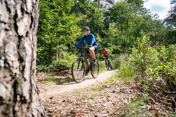 Hof van Saksen Drenthe - Westdorp visuel 1010/1861