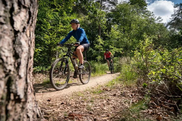 Hof van Saksen Drenthe - Westdorp visuel 1705/1861