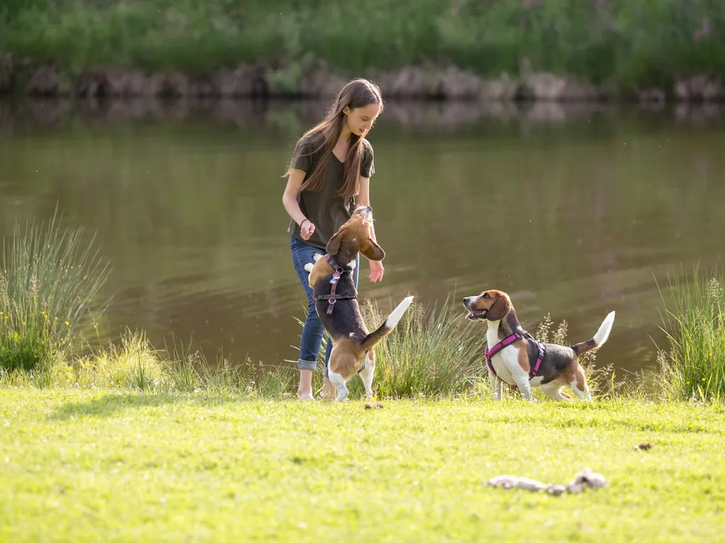 WTL belevingsfotografie 2019