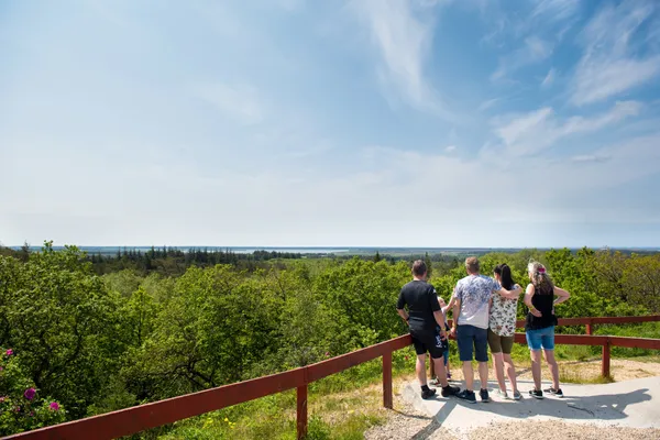 Hof van Saksen Drenthe - Westdorp visuel 583/1861