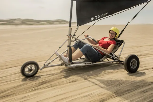 Hof van Saksen Drenthe - Westdorp visuel 1178/1861