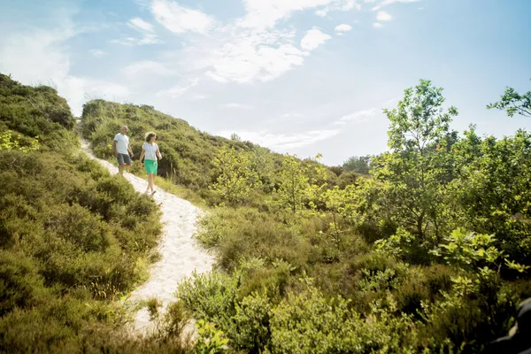 Hof van Saksen Drenthe - Westdorp visuel 880/1861