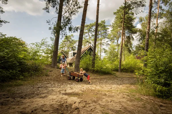 Hof van Saksen Drenthe - Westdorp visuel 1820/1861