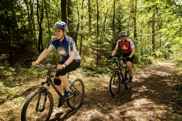 Hof van Saksen Drenthe - Westdorp visuel 1627/1861