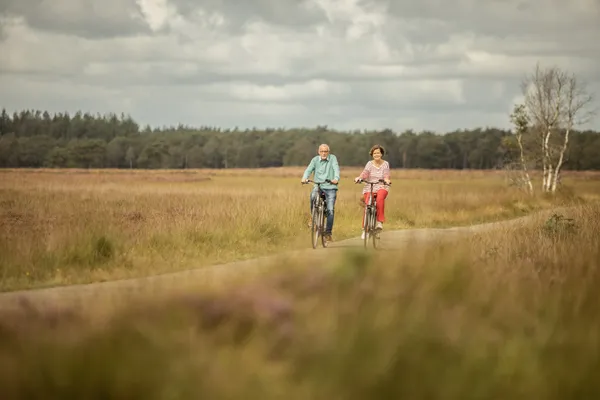 Hof van Saksen Drenthe - Westdorp visuel 1719/1861