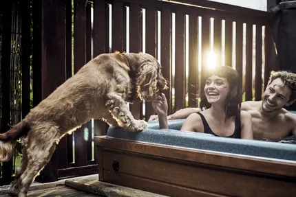 Hof van Saksen Drenthe - Westdorp visuel 177/1861