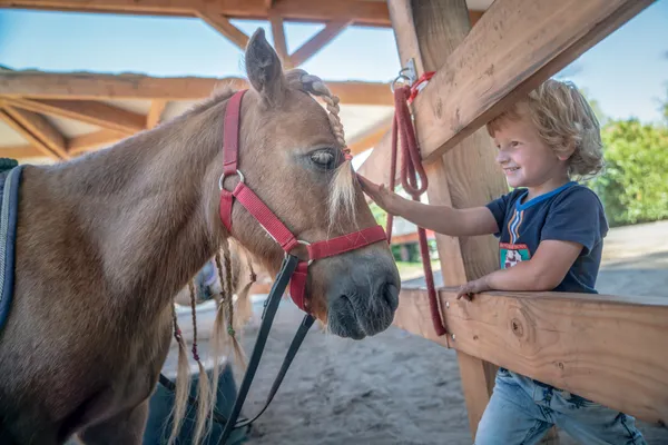 Hof van Saksen Drenthe - Westdorp visuel 1603/1861