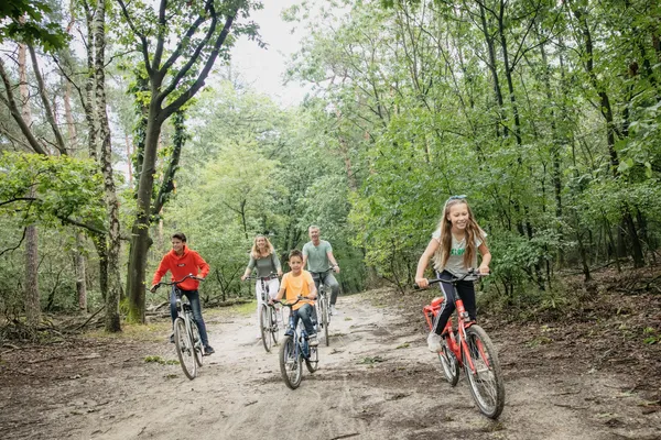 Hof van Saksen Drenthe - Westdorp visuel 1732/1861