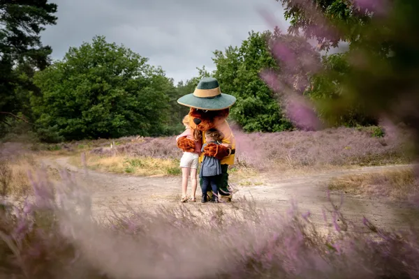 Hof van Saksen Drenthe - Westdorp visuel 1461/1861