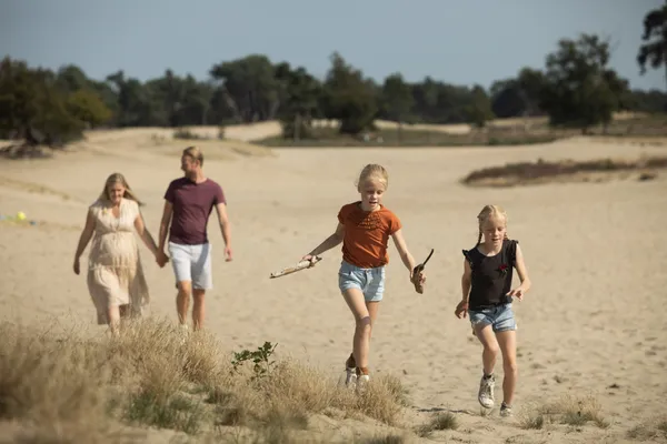 Hof van Saksen Drenthe - Westdorp visuel 1501/1861