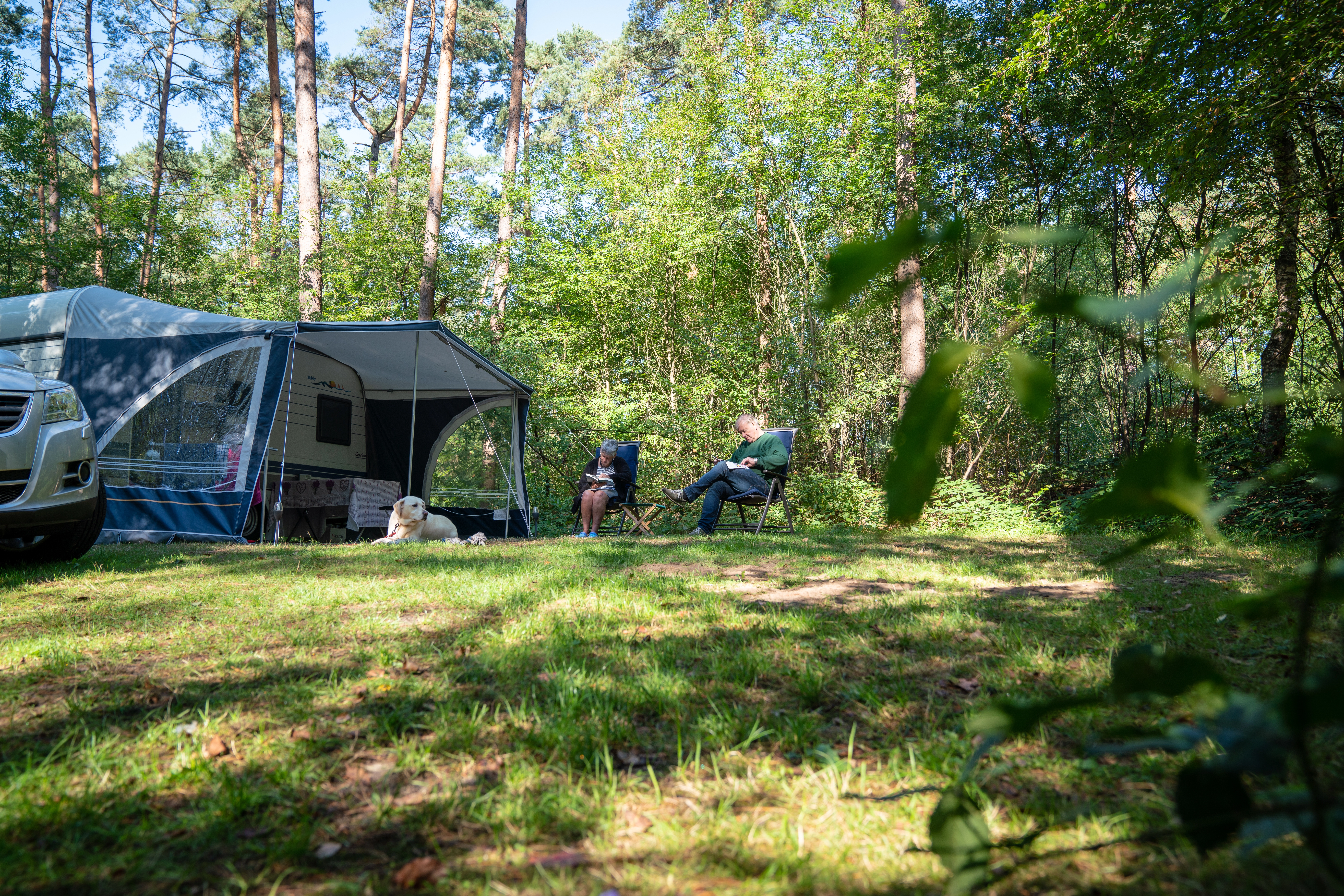Basis campingplaats — foto 11