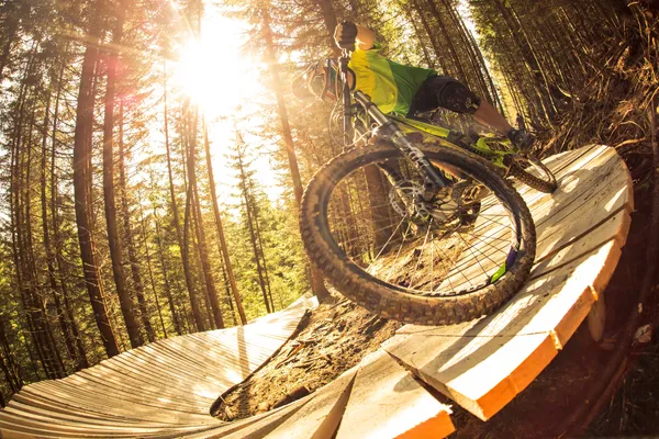 Hof van Saksen Drenthe - Westdorp visuel 456/1861