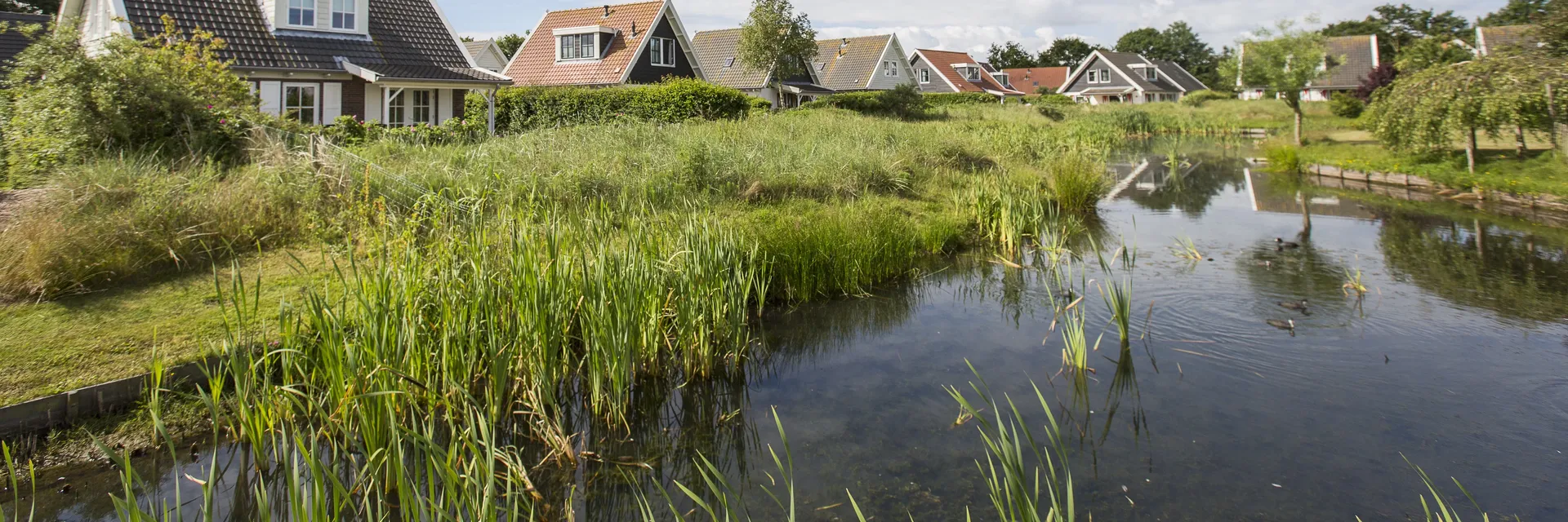 Hof van Saksen Drenthe - Westdorp visuel 1196/1861