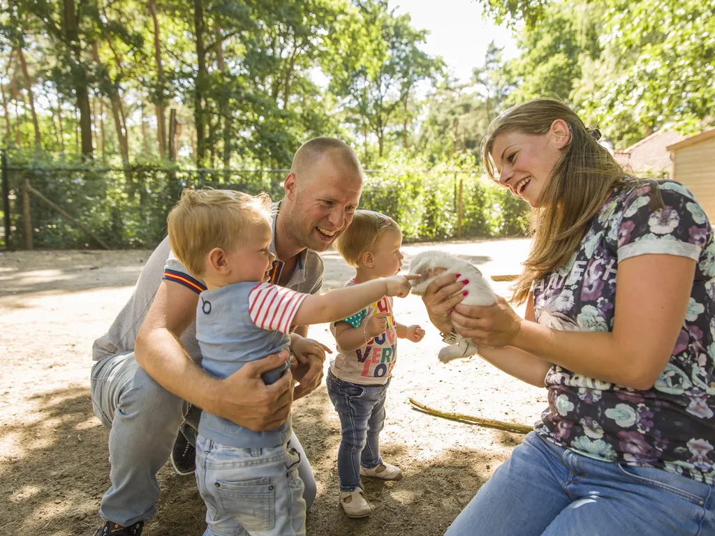 LGN Belevingsfotografie zomer 2015