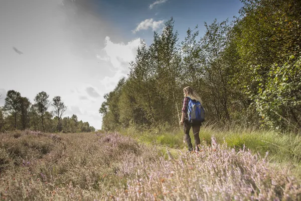 Hof van Saksen Drenthe - Westdorp visuel 570/1861