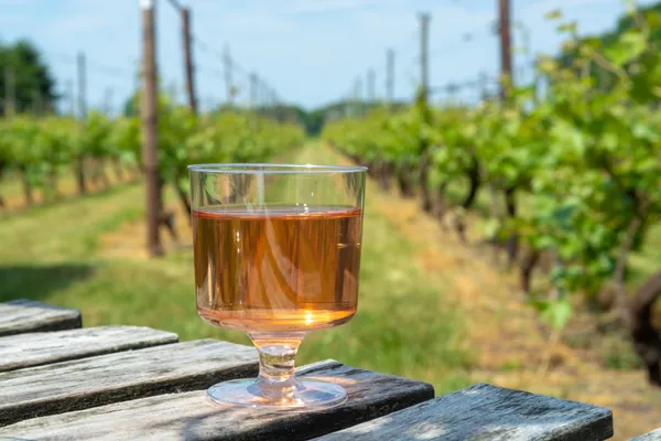 Hof van Saksen Drenthe - Westdorp visuel 1417/1861