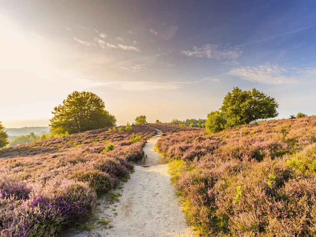 Adobe stock - Regio Veluwe