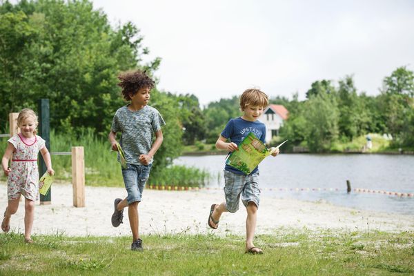 Hof van Saksen Drenthe - Westdorp visuel 981/1861