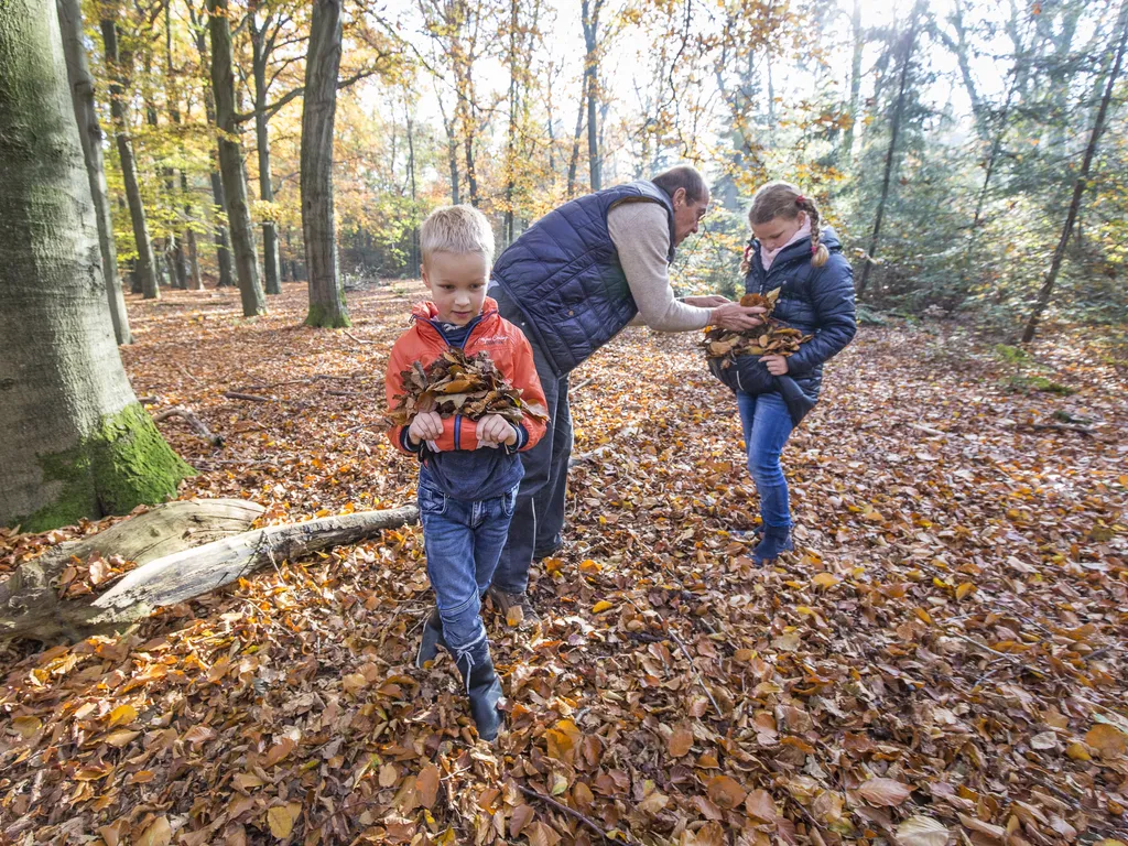 Schatzoeken in de natuur