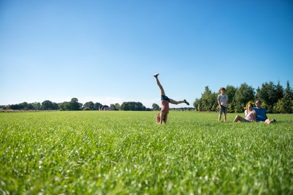 Hof van Saksen Drenthe - Westdorp visuel 1657/1861