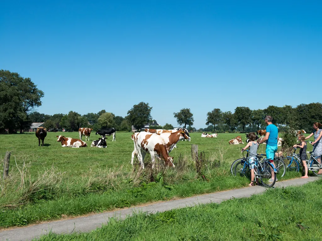 Fun, zomer, familie van vier