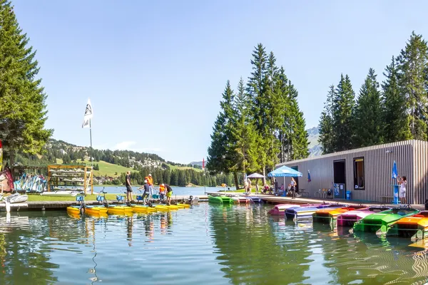 Hof van Saksen Drenthe - Westdorp visuel 288/1861