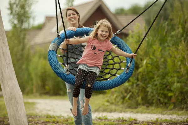 Hof van Saksen Drenthe - Westdorp visuel 1303/1861