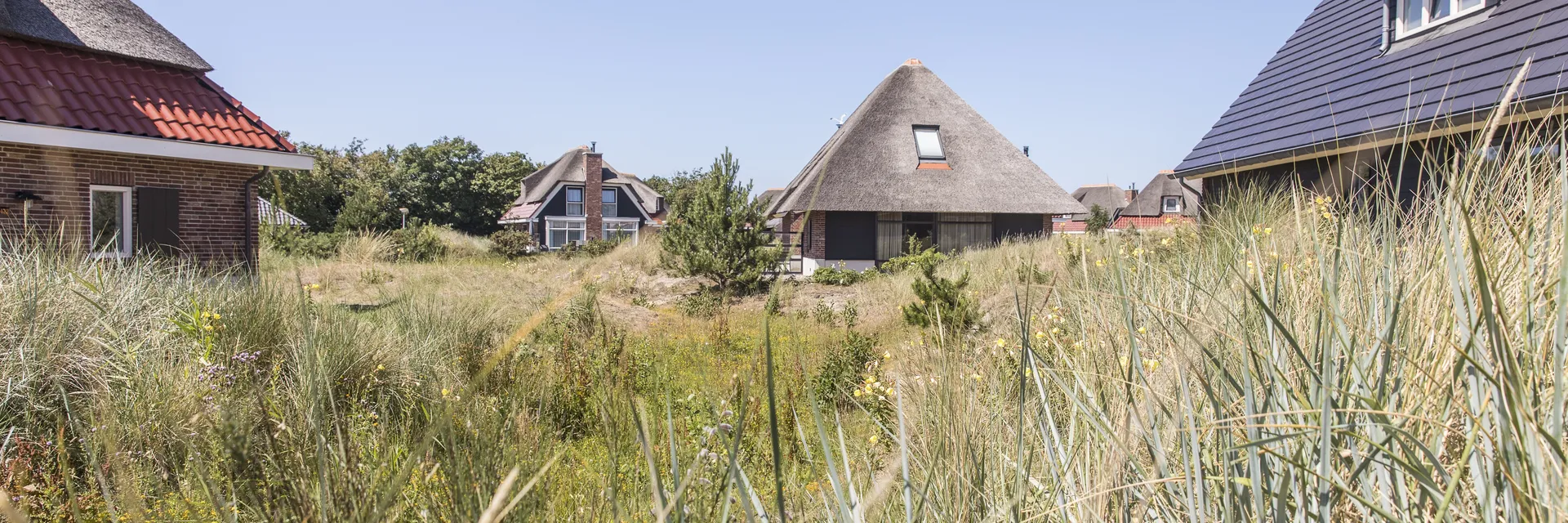 Hof van Saksen Drenthe - Westdorp visuel 927/1861