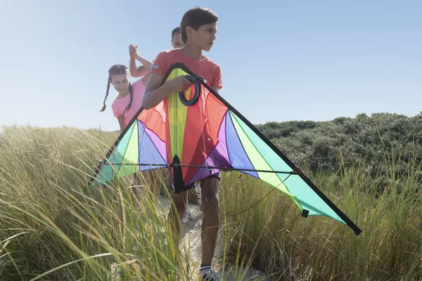 Hof van Saksen Drenthe - Westdorp visuel 1136/1861