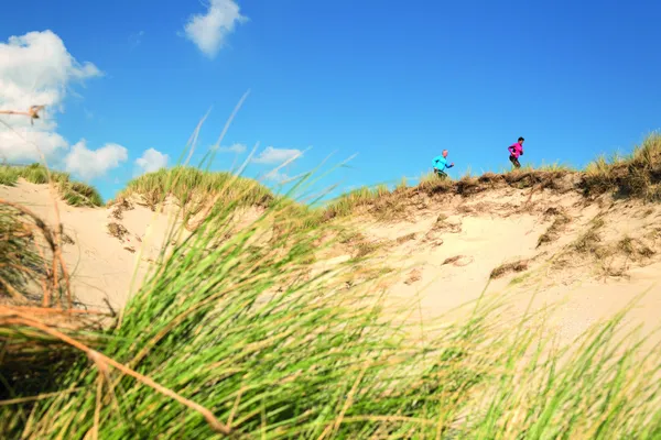 Hof van Saksen Drenthe - Westdorp visuel 1165/1861