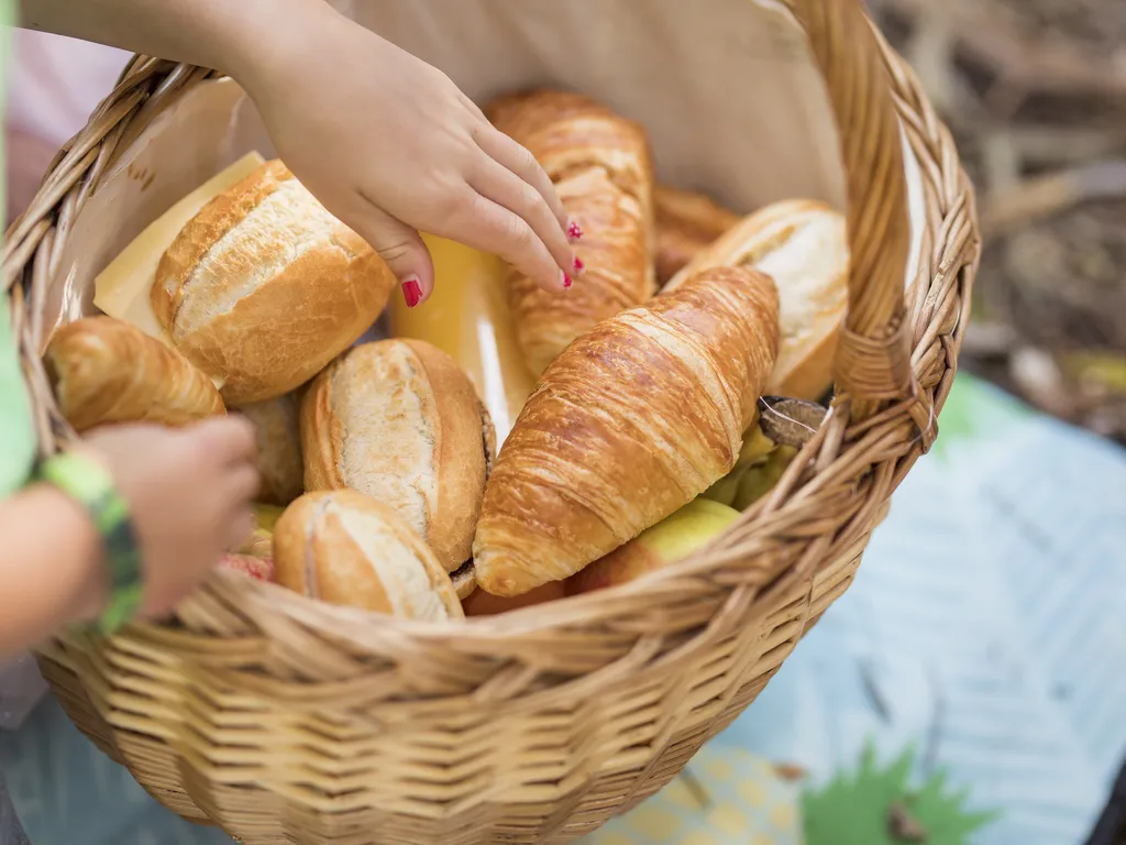 Bollo picknick- F&E Topactiviteiten 2017