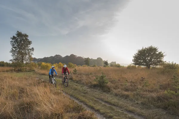 Hof van Saksen Drenthe - Westdorp visuel 1790/1861