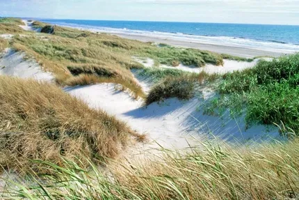 Hof van Saksen Drenthe - Westdorp visuel 587/1861