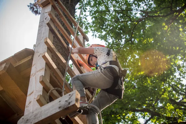 Hof van Saksen Drenthe - Westdorp visuel 1193/1861