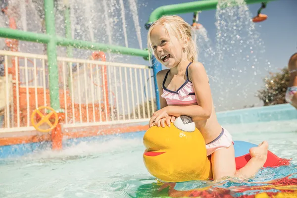 Hof van Saksen Drenthe - Westdorp visuel 77/1861