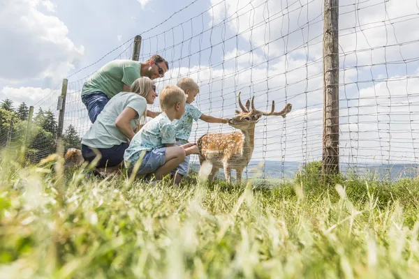 Hof van Saksen Drenthe - Westdorp visuel 653/1861